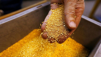 能拉“黃金屎”的細菌 科學奇觀還是商業泡沫？